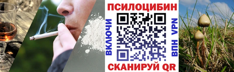 Галлюциногенные грибы Psilocybine cubensis  Купить  Дербент 